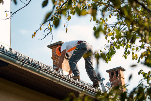 Best Best Roofing Contractors  in San Carlos Park, FL