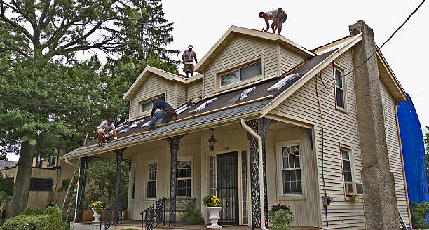 Best Best Roofing Contractors  in San Carlos Park, FL