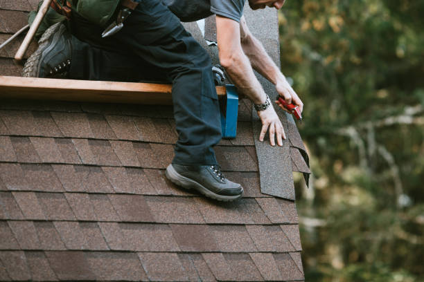 Best Roof Gutter Cleaning  in San Carlos Park, FL